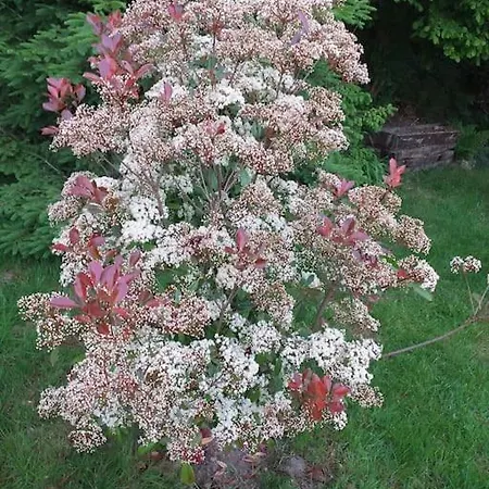 La Fermette A